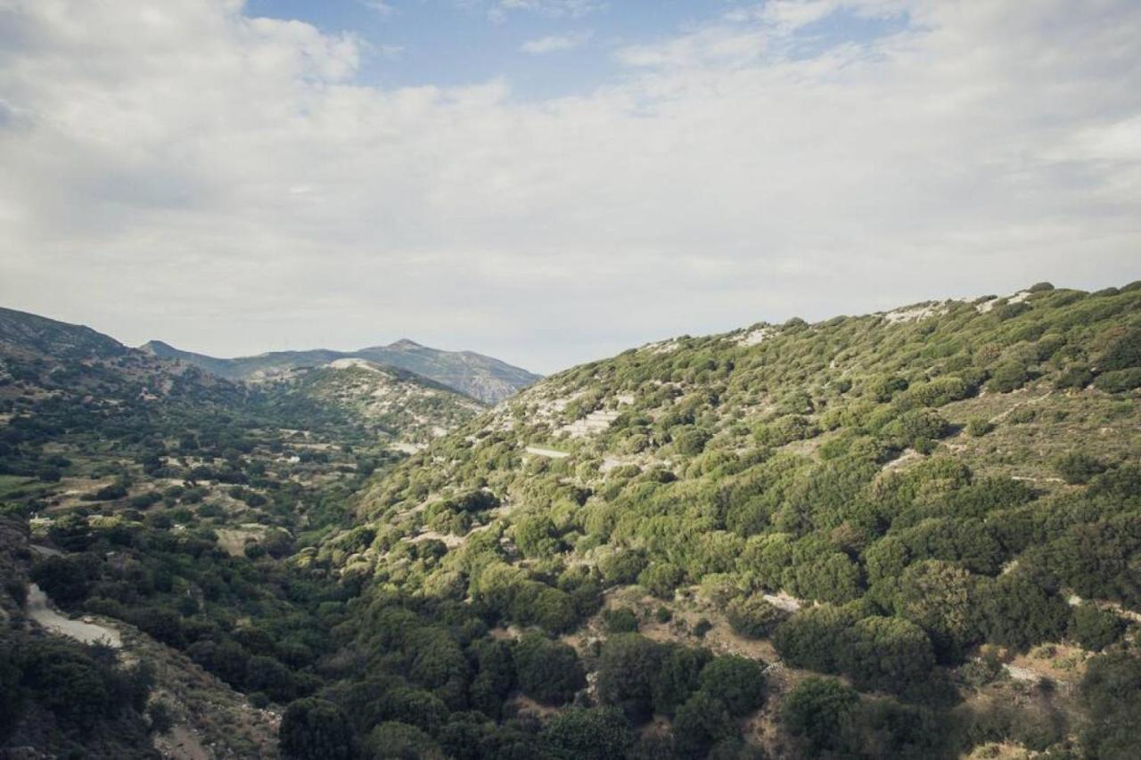 Traditional Inn Pirethron Απέραθος Εξωτερικό φωτογραφία